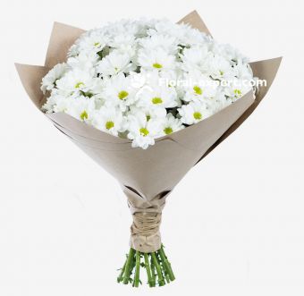 17 White Chrysanthemum