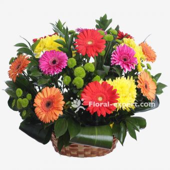 Basket with Gerberas